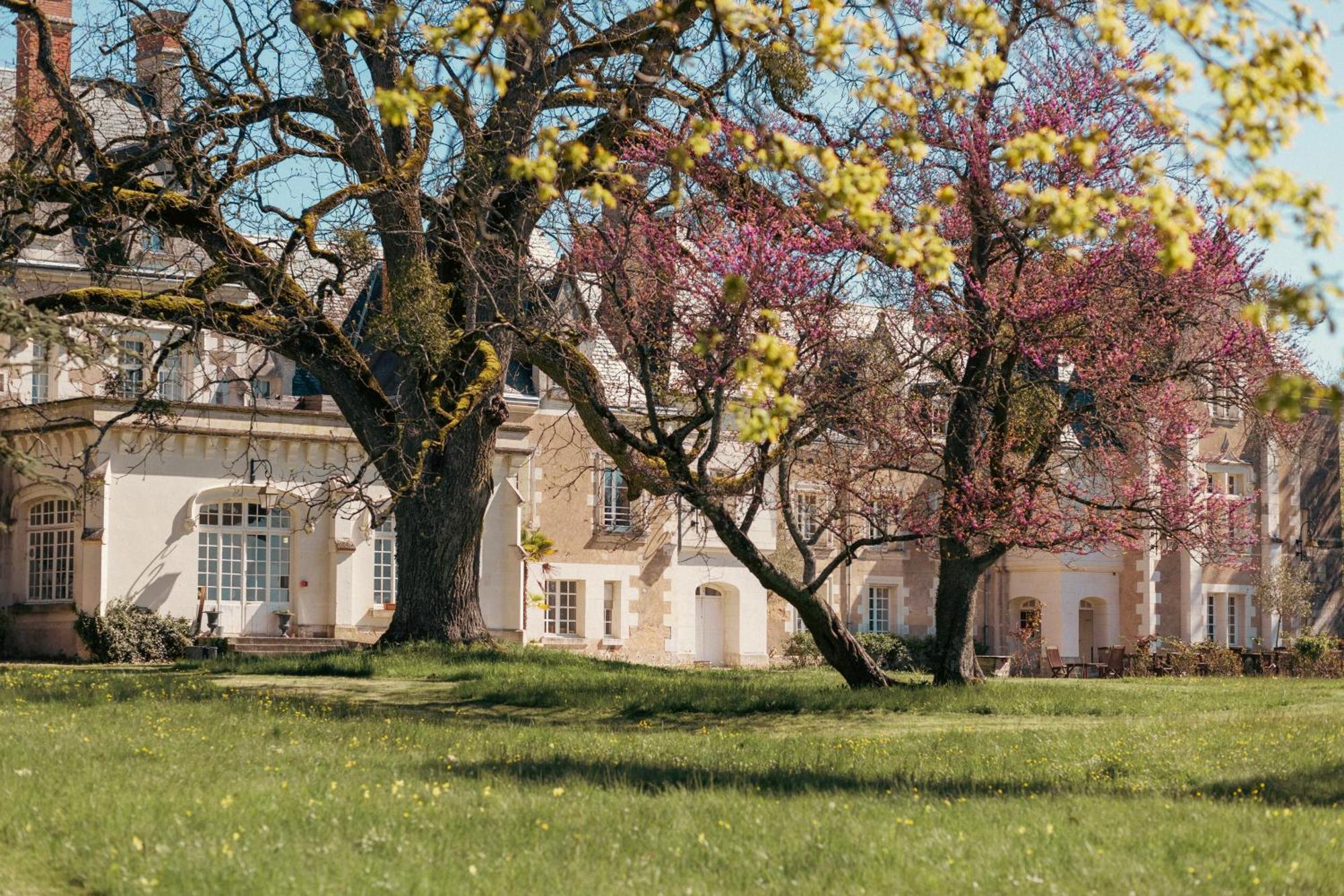 Chateau De Razay Cere-la-Ronde Exterior photo
